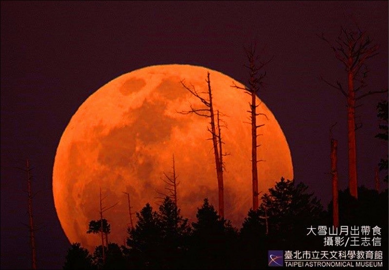 2015年4月4日發生的月出帶食。（台北市立天文科學教育館提供）